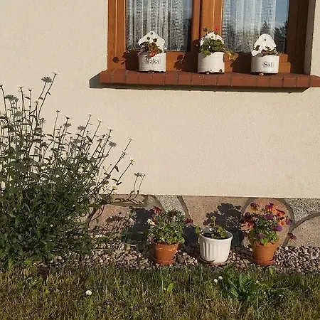 Holiday home Siedlisko Na Skraju Puszczy Rominckiej