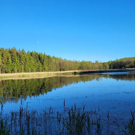 Siedlisko Na Skraju Puszczy Rominckiej Dubeninki